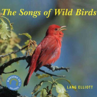 The_songs_of_wild_birds